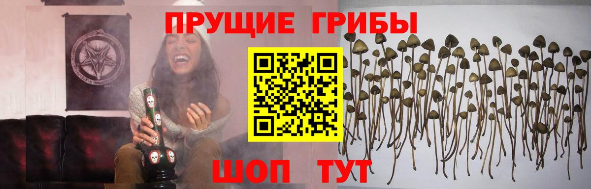 Галлюциногенные грибы мицелий Мирный