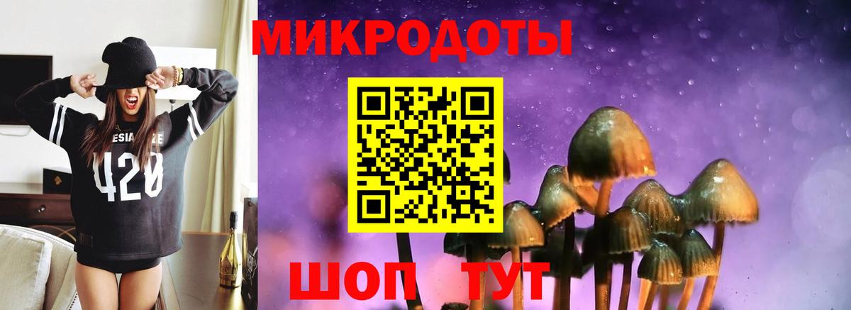 Мирный  Псилоцибиновые грибы мухоморы  Псилоцибиновые грибы Psilocybine cubensis  Вход с VPN 