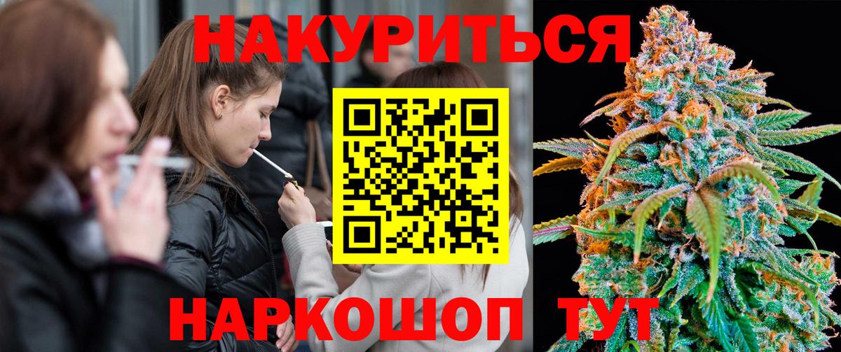 Бошки Шишки ГИДРОПОН  Шишки марихуана ГИДРОПОН  Мирный  Вход с VPN  Марихуана сатива  Шишки марихуана Ganja 